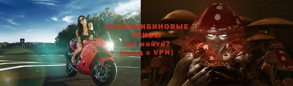 PSILOCYBIN Магадан