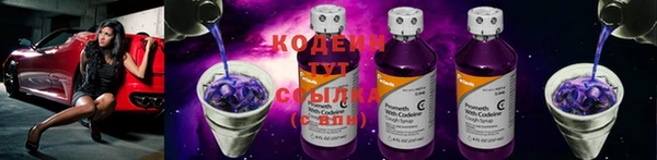 прущие грибы Майский
