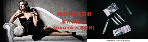 прущие грибы Майский