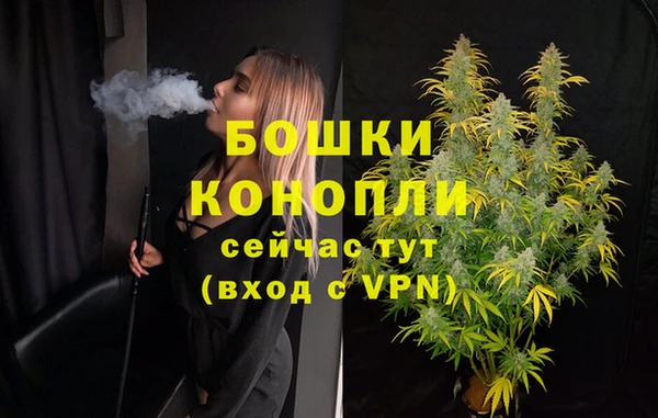 прущие грибы Майский