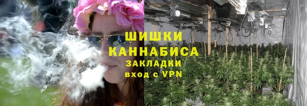 прущие грибы Майский