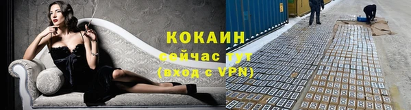 прущие грибы Майский