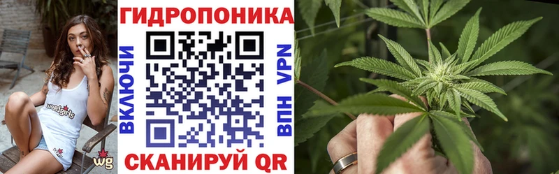 Бошки марихуана сатива  блэк спрут   Нижнекамск 